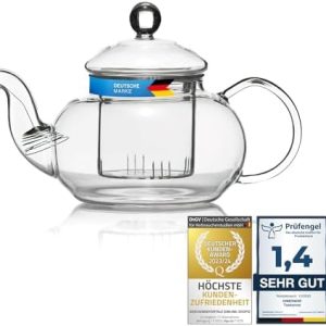 Mundgeblasene Teekanne mit Teefilter & Teesieb Kanne mit Filtereinsatz aus Glas von Dimono; 600 ml perfekt für Teeblumen
