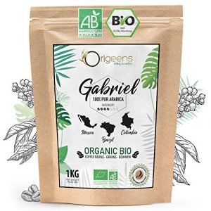 ORIGEENS BIO Kaffeebohnen 1kg | Biologische Arabica Kaffee Ganze Bohnen | Säurearm | Traditionelle Röstung | Gabriel